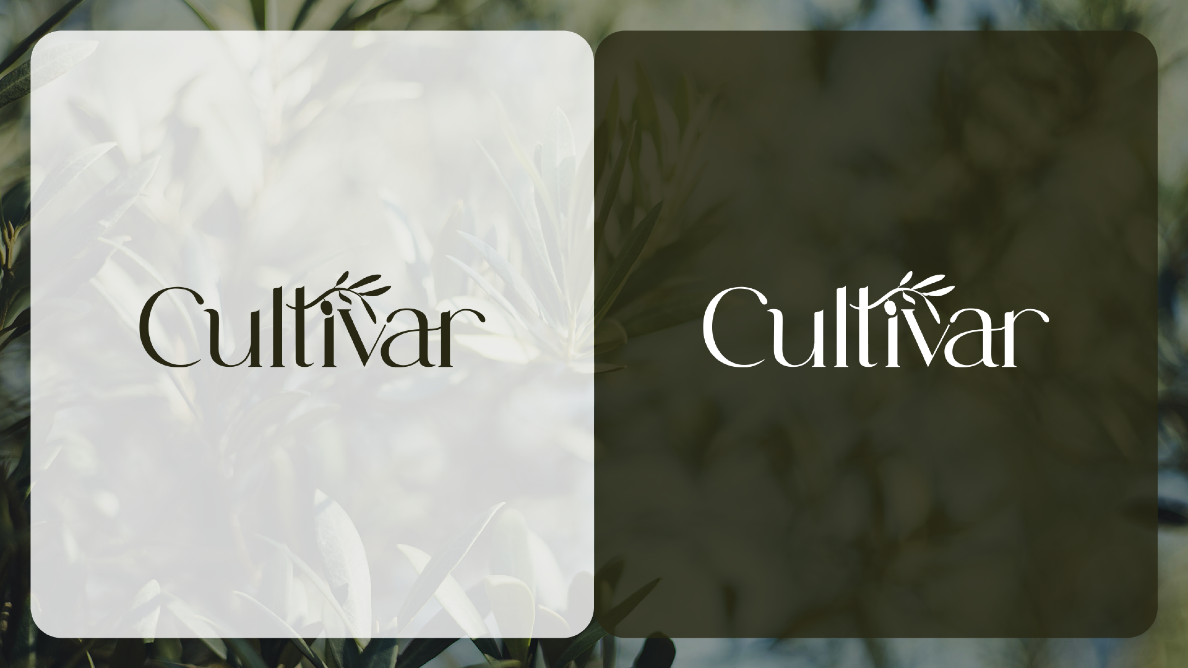 Cultivar - Spearhead Case Study - Logo