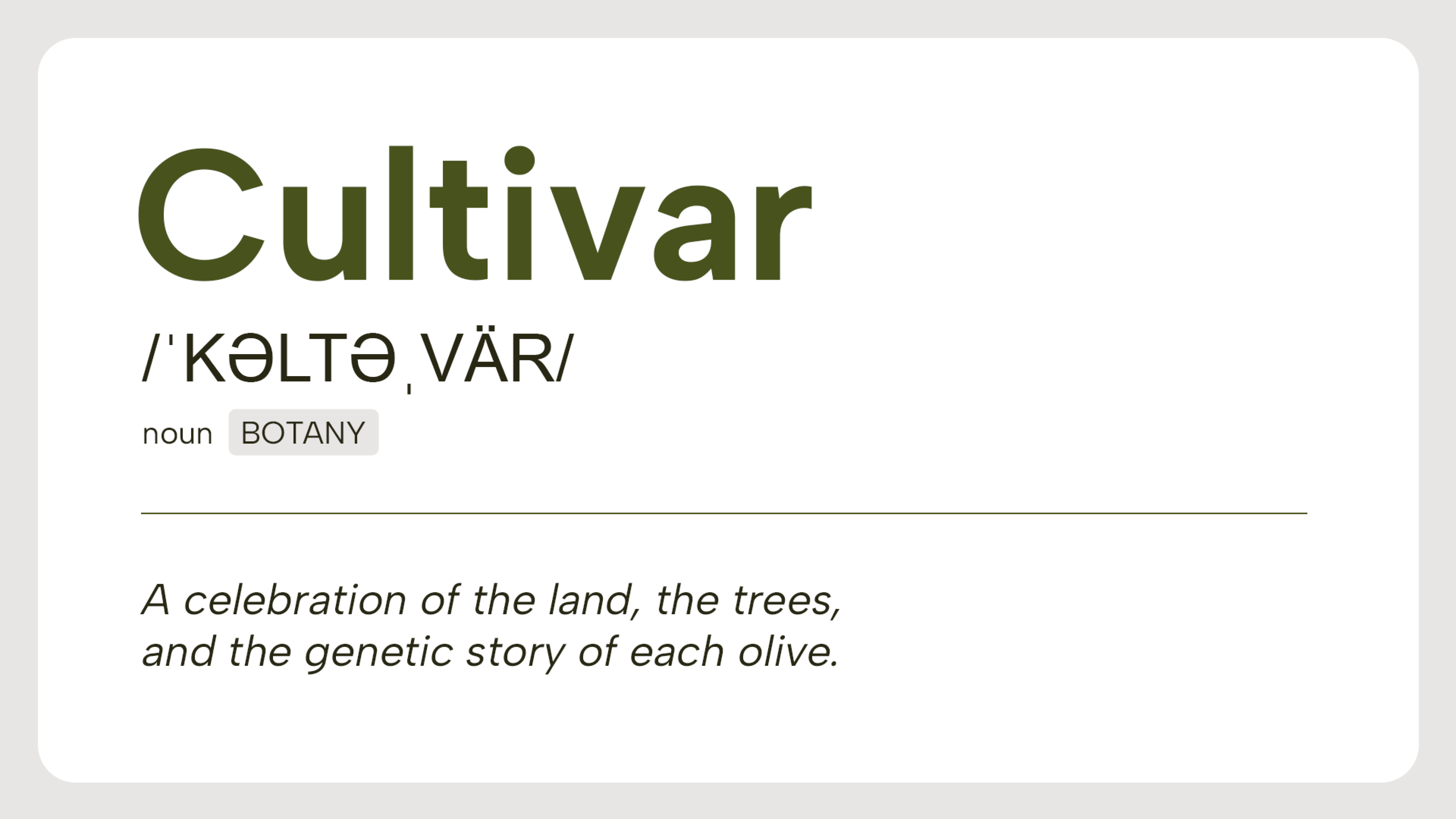 Cultivar - Spearhead Case Study - Name