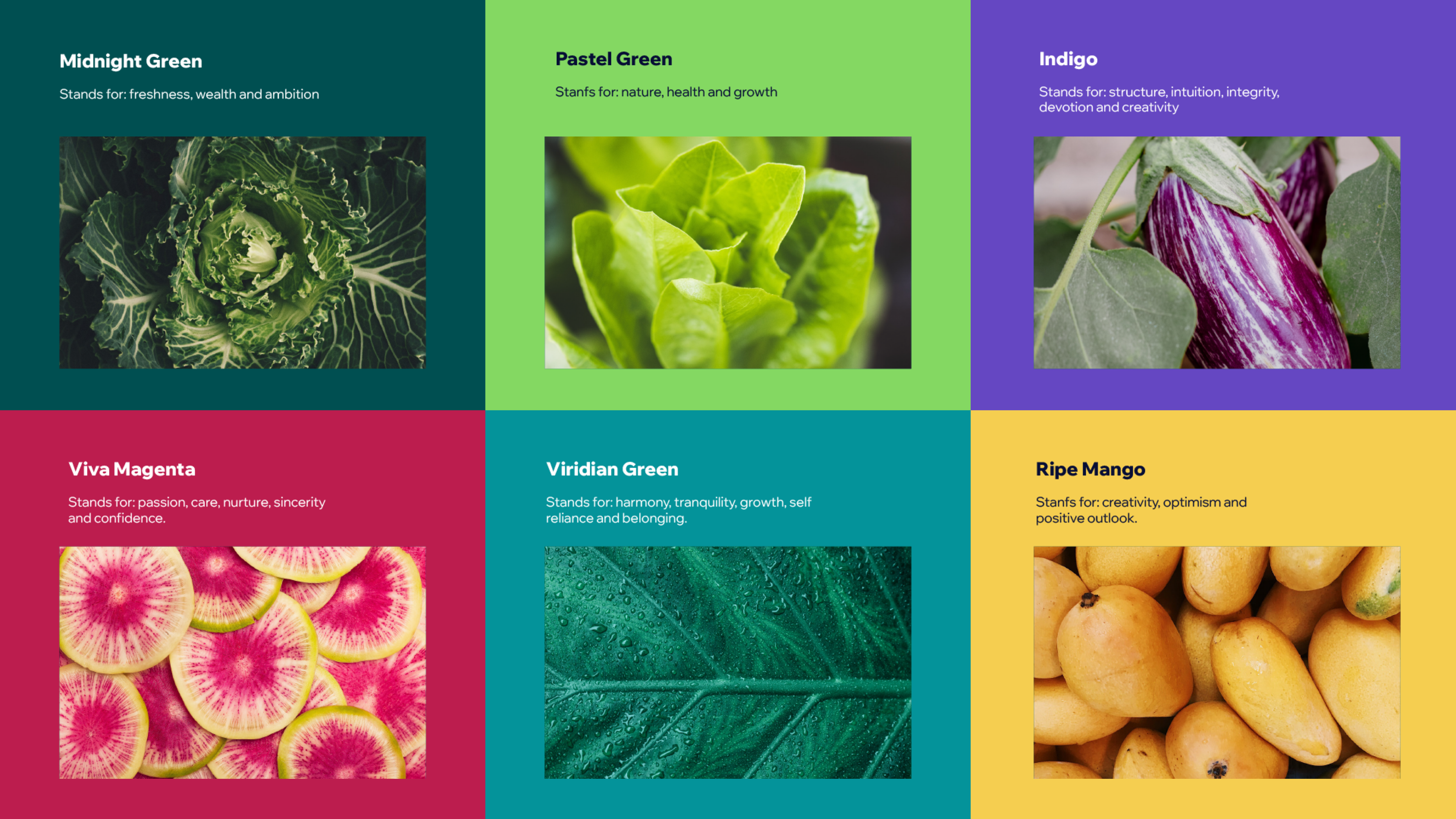 GoodyCo - Color Palette - Spearhead Case Study